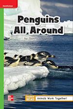 Reading Wonders Leveled Reader Penguins All Around