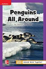 Reading Wonders Leveled Reader Penguins All Around