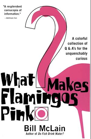 What Makes Flamingos Pink?