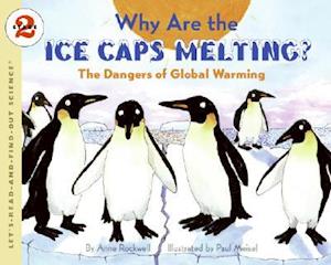 Why Are the Ice Caps Melting?