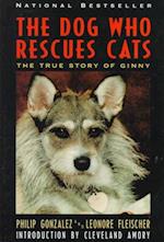 The Dog Who Rescues Cats