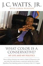What Color is a Conservative?