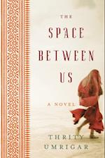 The Space Between Us (Large Print) 