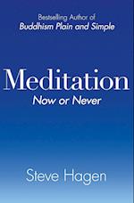 Meditation Now or Never