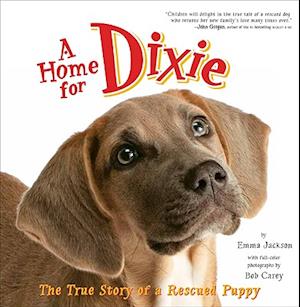 A Home for Dixie