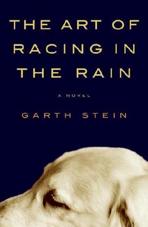 The Art of Racing in the Rain