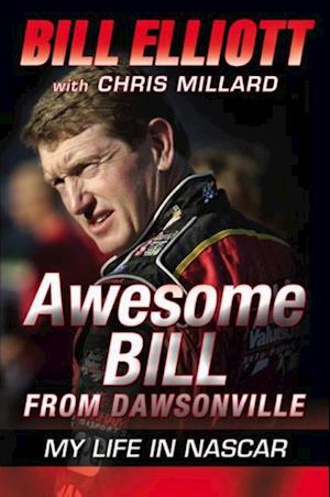 Awesome Bill from Dawsonville