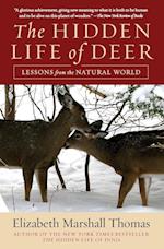 Hidden Life of Deer