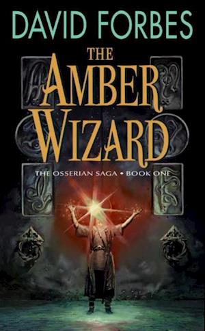 Amber Wizard