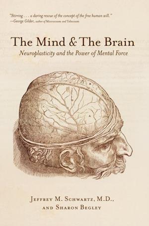 Mind & The Brain