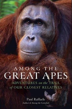 Among the Great Apes