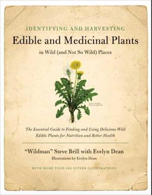 Identifying & Harvesting Edible and Medicinal Plants (And Not So Wild Places)