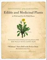 Identifying & Harvesting Edible and Medicinal Plants (And Not So Wild Places)