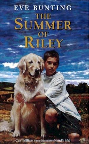 Summer of Riley