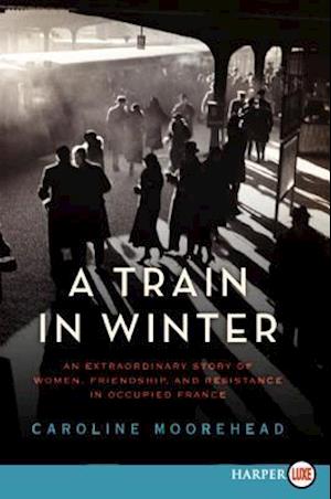 A Train in Winter