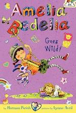 Amelia Bedelia Chapter Book #4