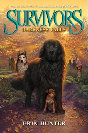 Survivors #3: Darkness Falls