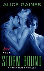 Storm Bound : A Cabin Fever Novella