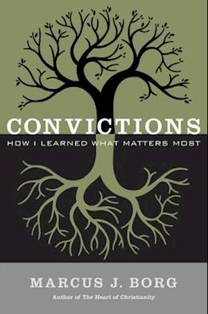 Convictions