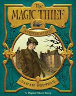 Magic Thief: A Proper Wizard