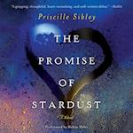 The Promise of Stardust