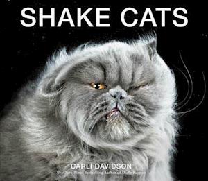 Shake Cats