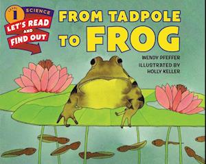 From Tadpole to Frog