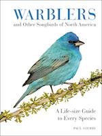 Warblers and Other Songbirds of North America