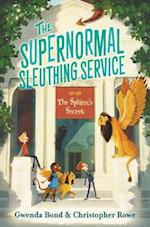 The Supernormal Sleuthing Service #2