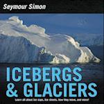 Icebergs & Glaciers