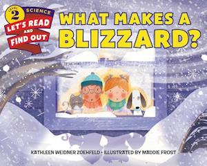 What Makes a Blizzard?