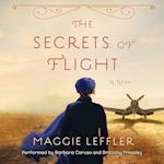 The Secrets of Flight