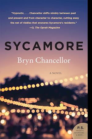 Sycamore