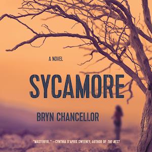 Sycamore