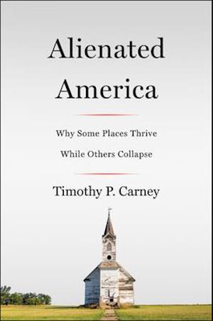 Alienated America