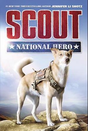 Scout