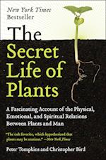 Secret Life of Plants
