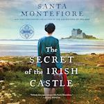 The Secret of the Irish Castle