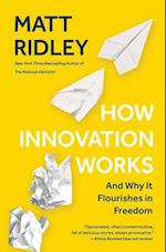 How Innovation Works