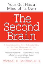 Second Brain