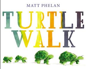 Turtle Walk