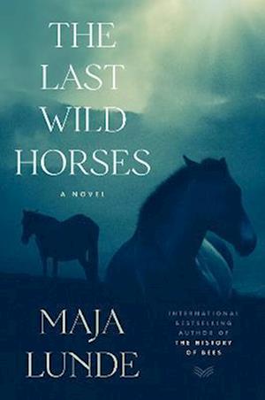 Last Wild Horses