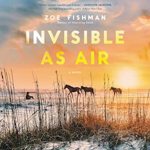 Invisible as Air