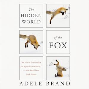 The Hidden World of the Fox