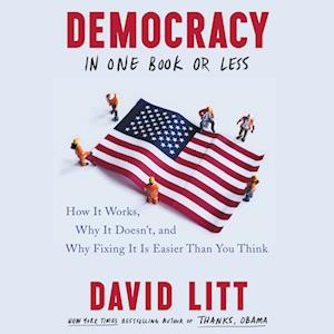 Democracy in One Book or Less