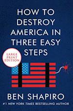 How to Destroy America in Three Easy Steps LP