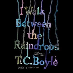 I Walk Between the Raindrops