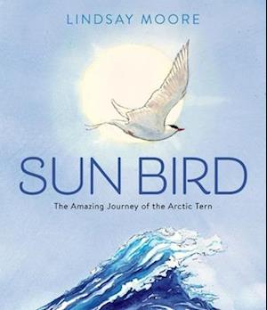 Sun Bird