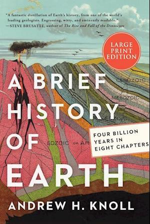 A Brief History of Earth