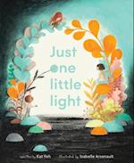 Just One Little Light